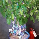 롯데리아 세종종촌점 이미지