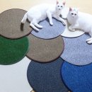 가르르 고양이 스크래쳐 카페트 원형 30cm 예쁜 색감과 적당한 크기 후기
