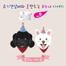 유바이잇 이미지