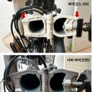 사바조이 이미지
