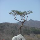나슨 이미지