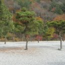 별따기캠핑장