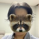 살롱유달리 이미지