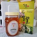김혜호 이미지