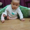 헤이리애 이미지