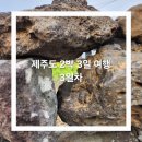 2박 3일 제주도 봄 여행-3일차