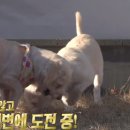 나리솔루션 이미지