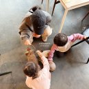 파파월드 | 25개월 아기 가정보육, 파파덕/히히호호 방문수업/브레인나우/산책, 여행 등