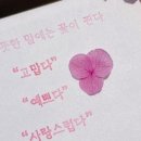 동화필사 캘리그라피 이미지