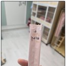 츄냥이 하우스 | 전주시 완산구 고양이카페 츄냥이하우스에서 힐링하고 온 후기