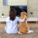 야생동물의료센터 이미지