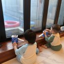 1382 | [세종] 친구들과 세종대전 근교 세종풀빌라 디엠제트 다녀온 후기