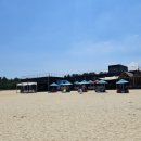 나인비치37 이미지