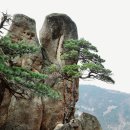 개성부동산중개사무소 네이버블로그