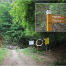 도사곡휴양림야영장 이미지