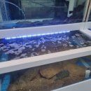 청년수산 이미지