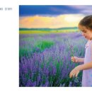 아로마테라피 이미지