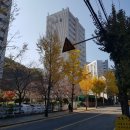내서읍196 이미지