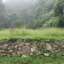 삼태농장 이미지