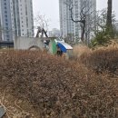 정우부동산공인중개사사무소 | 청주부동산 믿고 맡기는 부동산, 지웰시티공인중개사사무소 후기