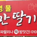 도요새민박