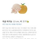 노란문약국 이미지
