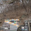 동막골흑염소 이미지