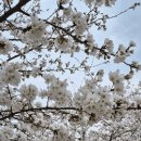 병산로 이미지