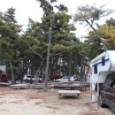 대천해수욕장 야영장 이미지