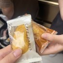 병원 실습일지 in 간호학과 2탄