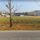 사봉면-2 이미지