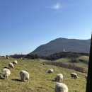 수미랑한식푸드 | 친구랑 평창 크리스마스 여행 호텔, 맛집 후기(진태원, 인터컨티넨탈 알펜시아 호텔 후기, 도암식당 등)