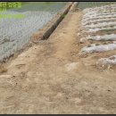 괴산군감물면이담보건진료소 | [괴산군 감물면 토지(답)경매,급매,전세] 충청북도 괴산군 감물면 이담리 764-10. 2017타경51804