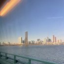 용인동물약국 | 뮤지컬 어쩌면 해피엔딩 후기 그리고 포스트휴머니즘에 대한 짧은 소고