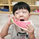 🍉 수박파티 🍉 이미지