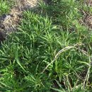 우창농장 이미지