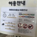 교하도서관 | 파주 교하도서관 아이와 책 읽기 좋은 시립어린이도서관