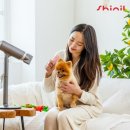 현대전파사 이미지