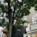 인사동전통찻집 -반짝반짝빛나는 팥빙수, 구운인절미 후기