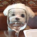 현숙이네 이미지