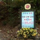 푸른솔 염색