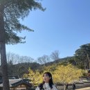 타타스베이글은행나무길점 이미지