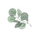 오창초 가좌분교 이미지