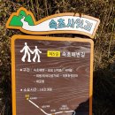 속초사잇길 제5길 이미지