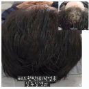 릿따 스타일 이미지