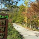 보성매점 - 보성군 녹색로 4816-15 | 보성매점
