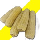 금성상회 이미지