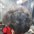 홍가가머리하는곳 이미지