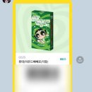 창의와인성 태권도 | 11월 시드니 자유여행 코스 및 날씨