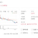 한솔종합식품 이미지